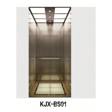 Villa Ascenseur avec cheveux en acier inoxydable (KJX-BS01)